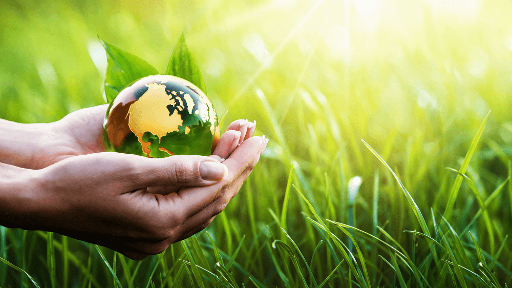 Taxi điện từ Hà Nội đi Tuyên Quang